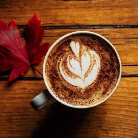 Heißgetränk mit Milchschaum und Zimt in der Tasse